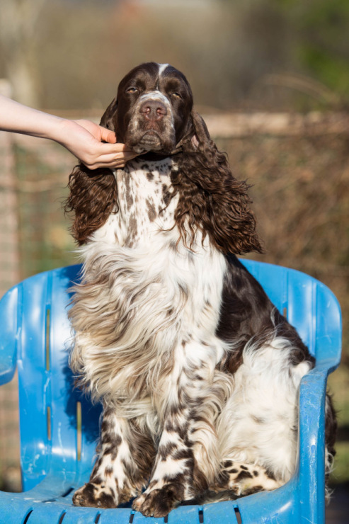 194947-89056-107413339-m750x740-u84111.j